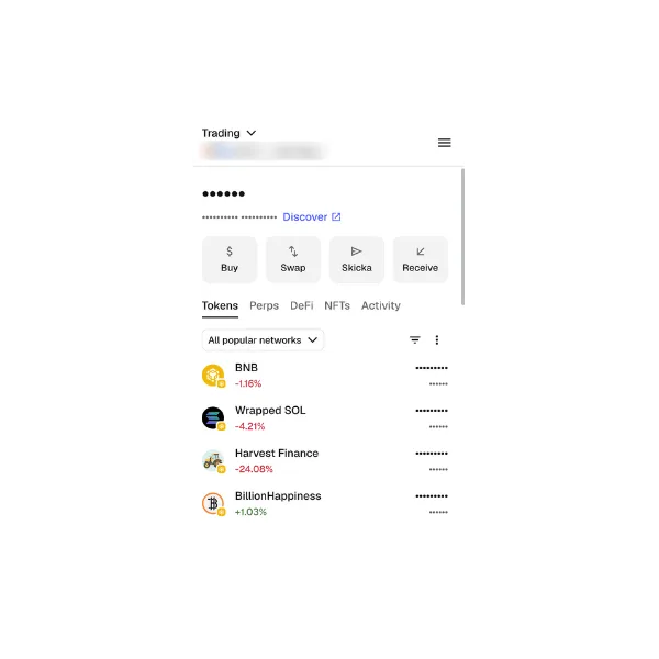MetaMask-lommeboken med tokens som BNB og Wrapped SOL